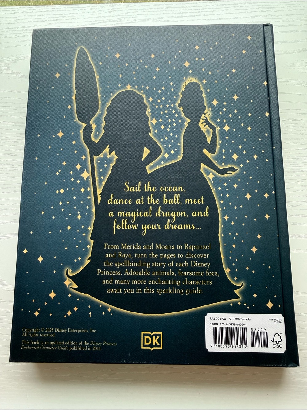 Disney Princess Enchanted Character Guide - Navy Blue and Gold Cover - Picture 2 of 5